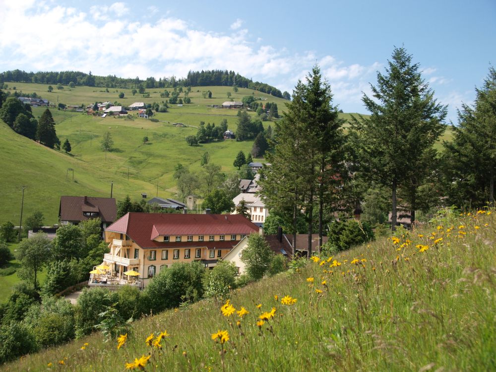 Vital Hotel St Peter Schwarzwald Vital Hotel St Peter Schwarzwald