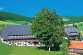 Wellness Vitalhotel Mangler Todtnauberg Todtnau Schwarzwald
